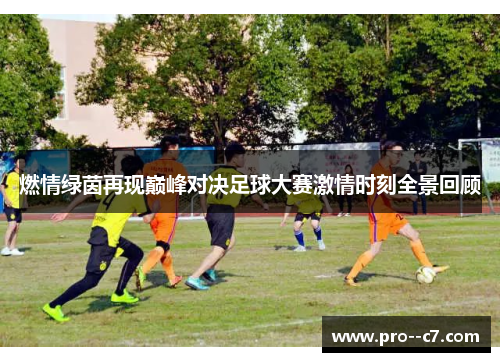 燃情绿茵再现巅峰对决足球大赛激情时刻全景回顾 燃情绿茵再现巅峰对决足球大赛激情时刻全景回顾