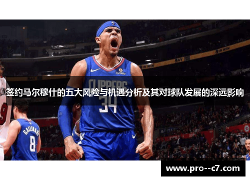 签约马尔穆什的五大风险与机遇分析及其对球队发展的深远影响 签约马尔穆什的五大风险与机遇分析及其对球队发展的深远影响