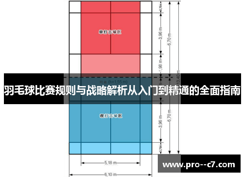 羽毛球比赛规则与战略解析从入门到精通的全面指南 羽毛球比赛规则与战略解析从入门到精通的全面指南