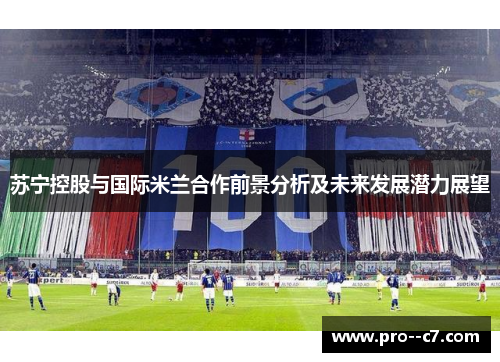 苏宁控股与国际米兰合作前景分析及未来发展潜力展望 苏宁控股与国际米兰合作前景分析及未来发展潜力展望