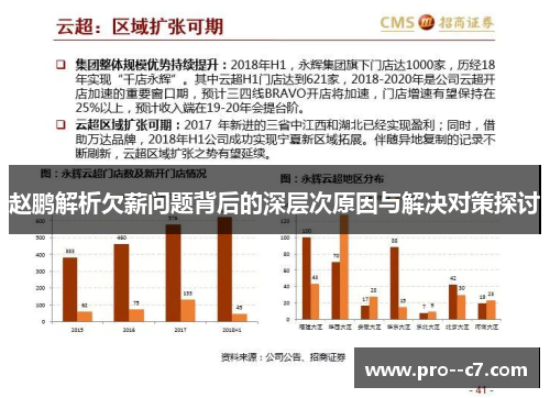 赵鹏解析欠薪问题背后的深层次原因与解决对策探讨