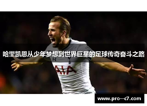 哈里凯恩从少年梦想到世界巨星的足球传奇奋斗之路 哈里凯恩从少年梦想到世界巨星的足球传奇奋斗之路