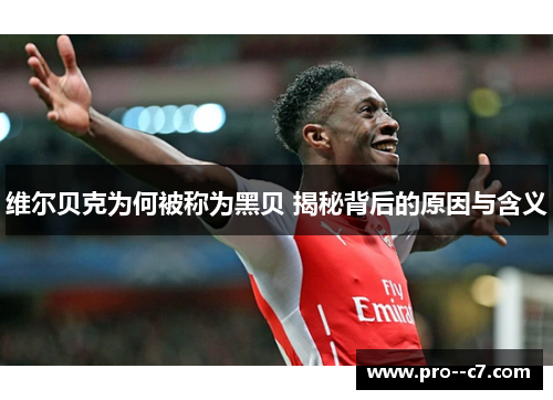 维尔贝克为何被称为黑贝 揭秘背后的原因与含义 维尔贝克为何被称为黑贝 揭秘背后的原因与含义