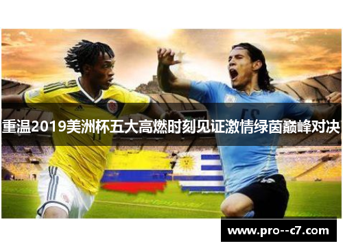 重温2019美洲杯五大高燃时刻见证激情绿茵巅峰对决