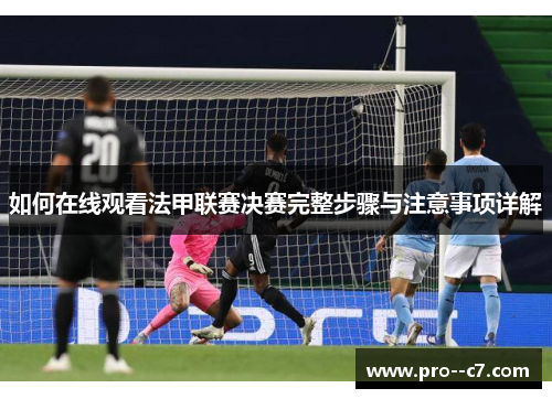 如何在线观看法甲联赛决赛完整步骤与注意事项详解 如何在线观看法甲联赛决赛完整步骤与注意事项详解