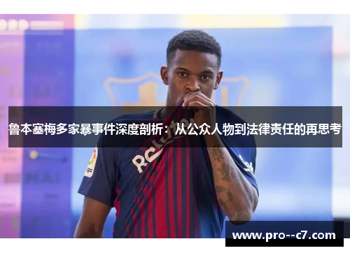 鲁本塞梅多家暴事件深度剖析：从公众人物到法律责任的再思考