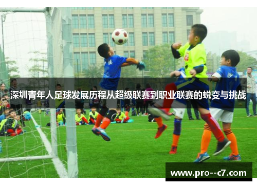深圳青年人足球发展历程从超级联赛到职业联赛的蜕变与挑战