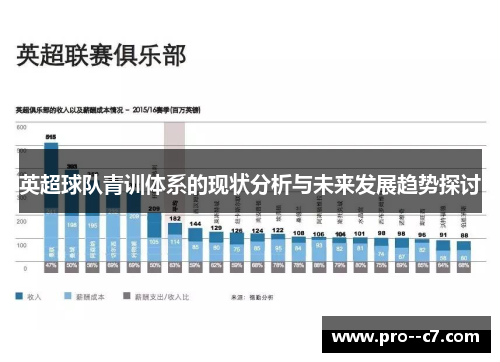 英超球队青训体系的现状分析与未来发展趋势探讨