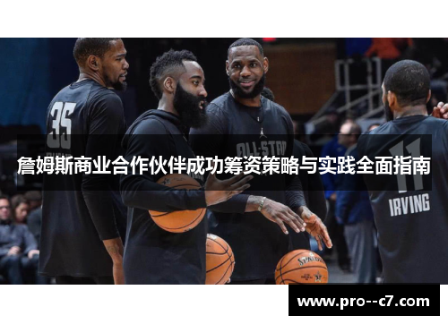 詹姆斯商业合作伙伴成功筹资策略与实践全面指南 詹姆斯商业合作伙伴成功筹资策略与实践全面指南