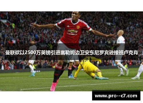 曼联欲以2500万英镑引进富勒姆边卫安东尼罗宾逊接班卢克肖