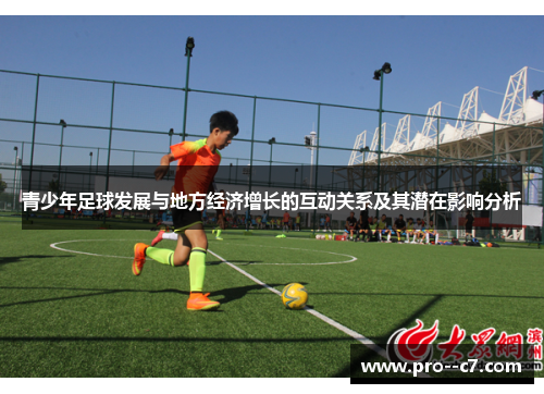 青少年足球发展与地方经济增长的互动关系及其潜在影响分析