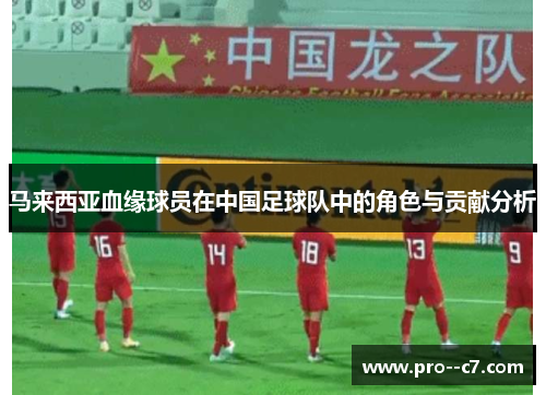 马来西亚血缘球员在中国足球队中的角色与贡献分析