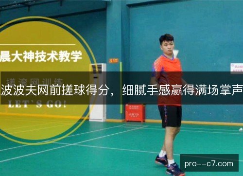波波夫网前搓球得分，细腻手感赢得满场掌声